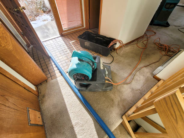 Professional Water damage restoration in Sudley, VA